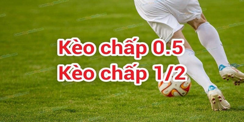 Kèo Chấp Nửa Trái - Kinh Nghiệm Bắt Kèo Chuẩn Xác 99% 2 Tham khảo thêm cách đọc kèo chuẩn 99%
